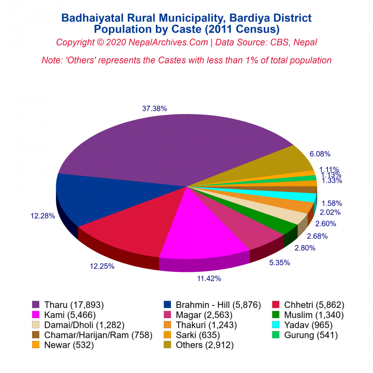 Population by Castes Chart of Badhaiyatal Rural Municipality