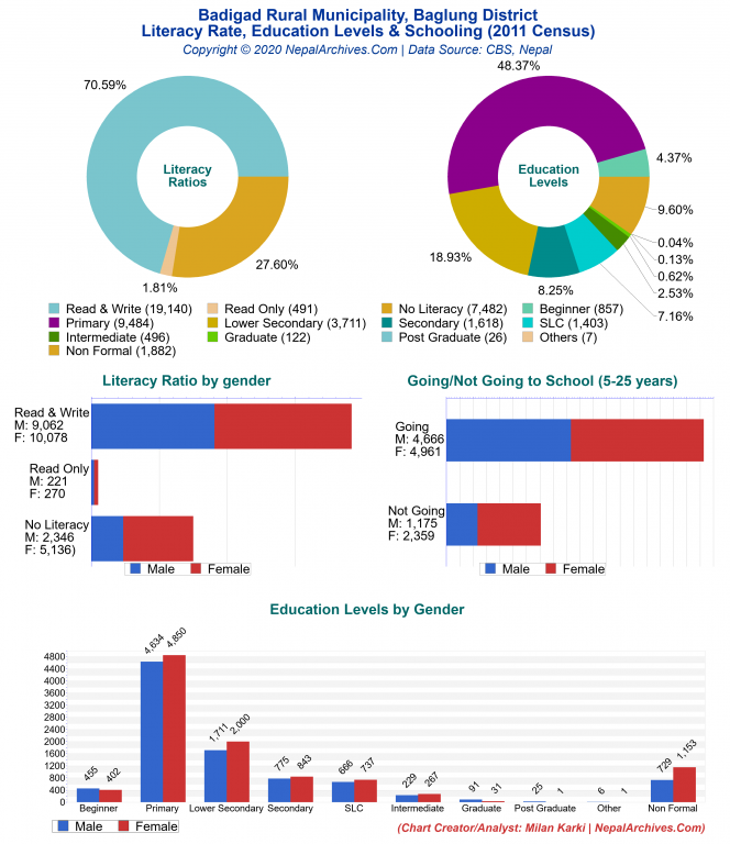 Literacy, Education Levels & Schooling Charts of Badigad Rural Municipality