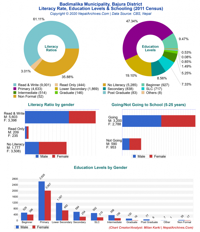 Literacy, Education Levels & Schooling Charts of Badimalika Municipality