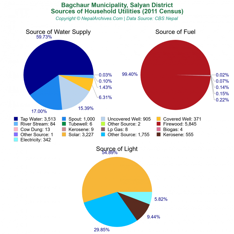 Household Utilities Pie Charts of Bagchaur Municipality
