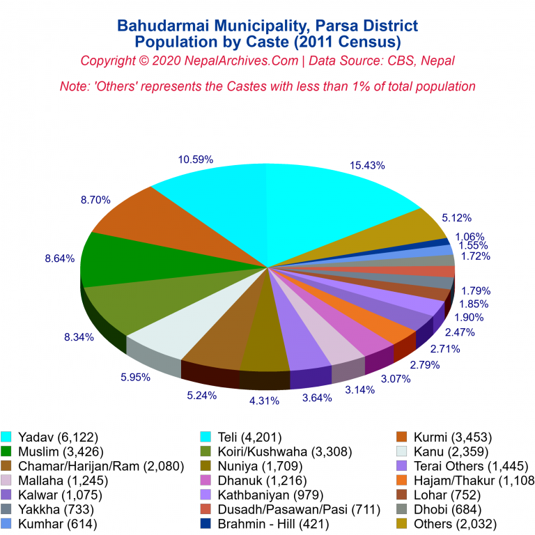 Population by Castes Chart of Bahudarmai Municipality