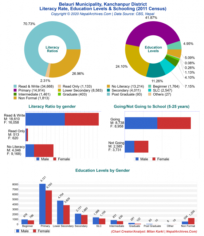 Literacy, Education Levels & Schooling Charts of Belauri Municipality