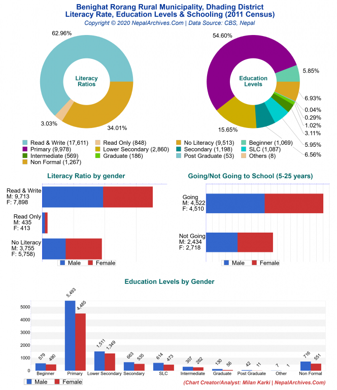 Literacy, Education Levels & Schooling Charts of Benighat Rorang Rural Municipality