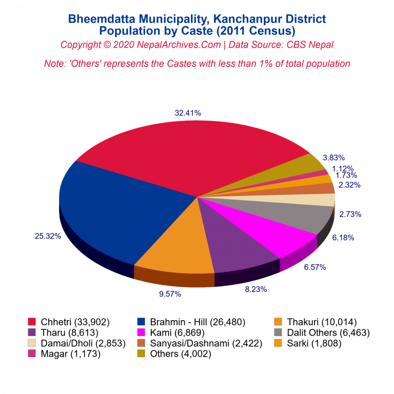 Population by Castes Chart of Bheemdatta Municipality