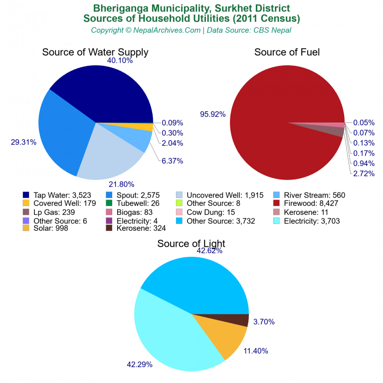 Household Utilities Pie Charts of Bheriganga Municipality