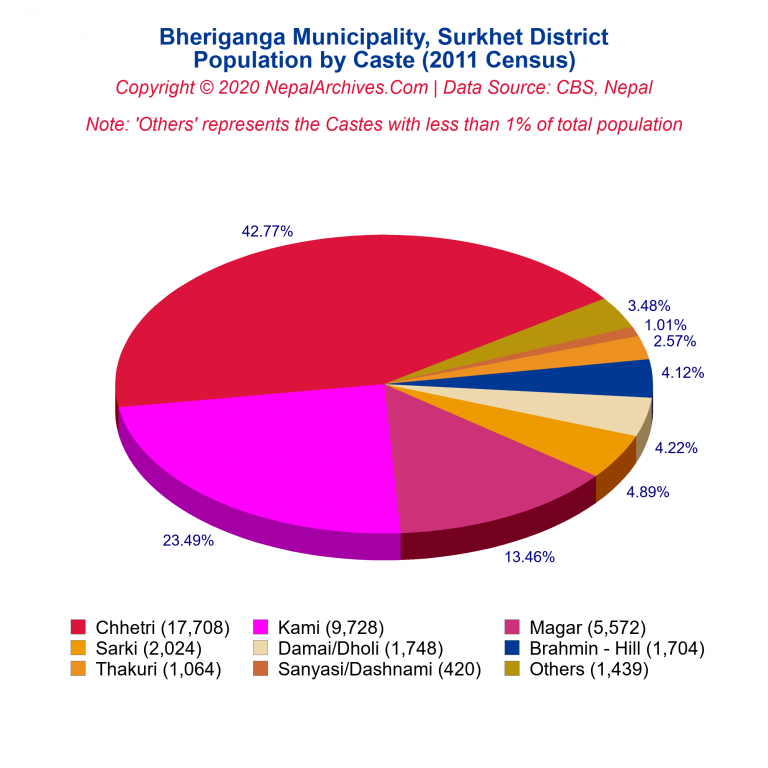 Population by Castes Chart of Bheriganga Municipality