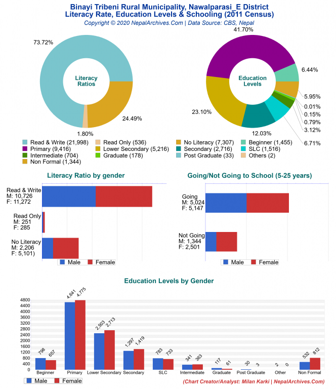 Literacy, Education Levels & Schooling Charts of Binayi Tribeni Rural Municipality