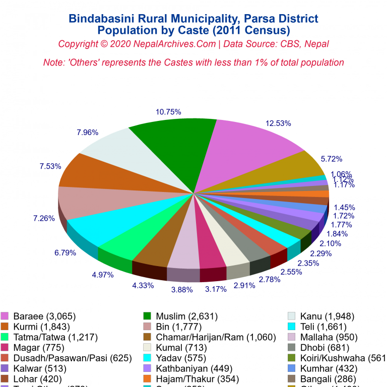 Population by Castes Chart of Bindabasini Rural Municipality