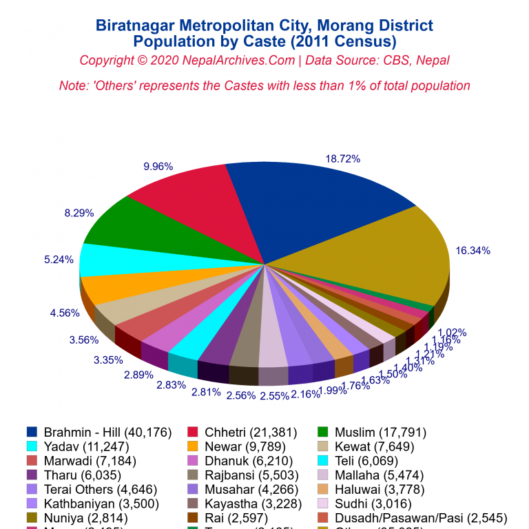 Population by Castes Chart of Biratnagar Metropolitan City