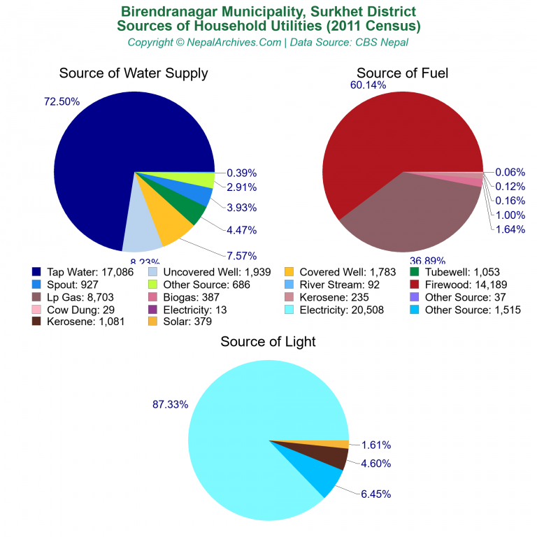 Household Utilities Pie Charts of Birendranagar Municipality