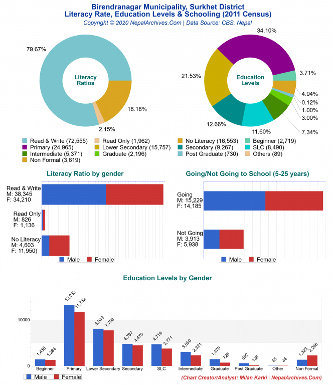 Literacy, Education Levels & Schooling Charts of Birendranagar Municipality