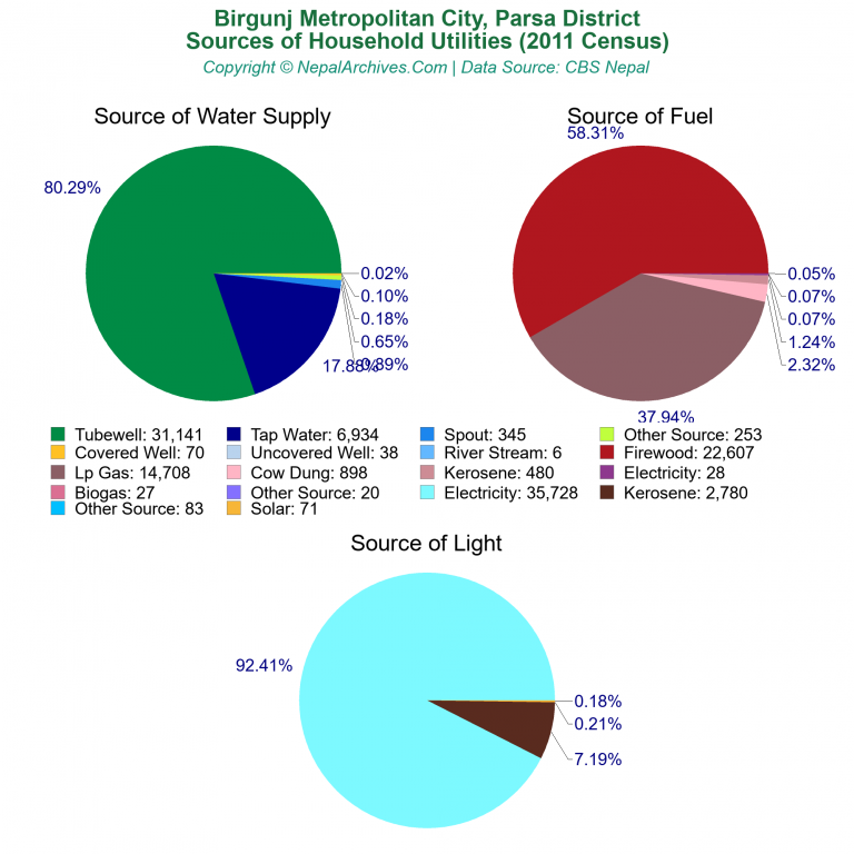 Household Utilities Pie Charts of Birgunj Metropolitan City