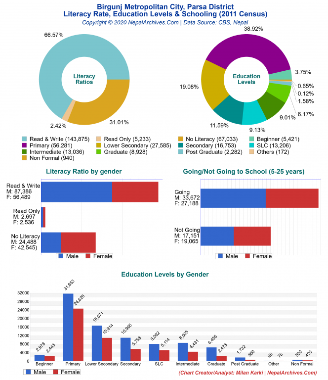 Literacy, Education Levels & Schooling Charts of Birgunj Metropolitan City