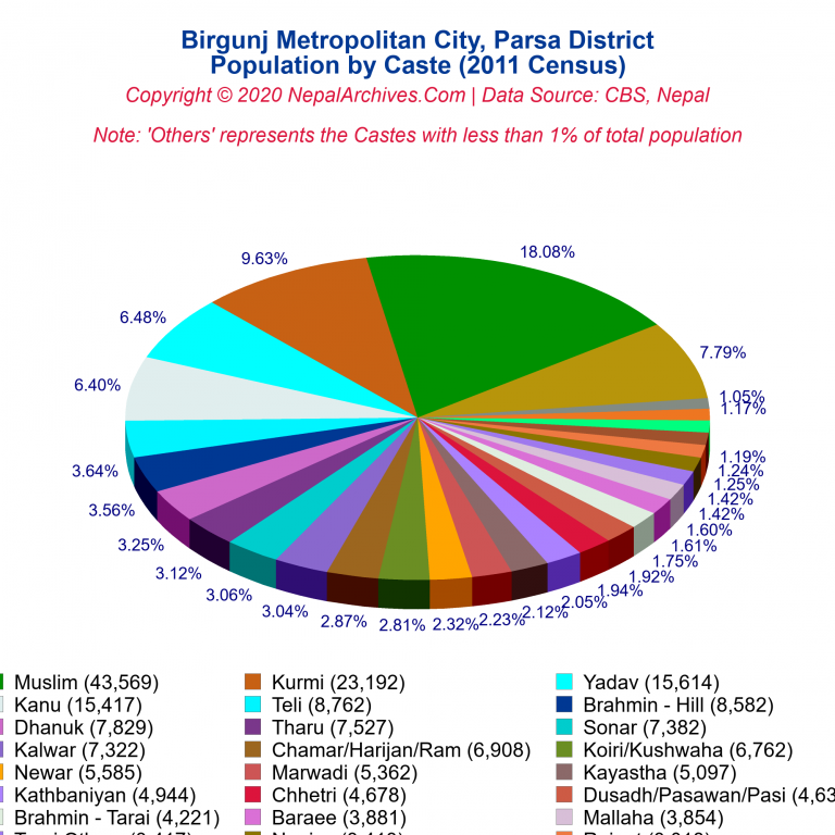 Population by Castes Chart of Birgunj Metropolitan City