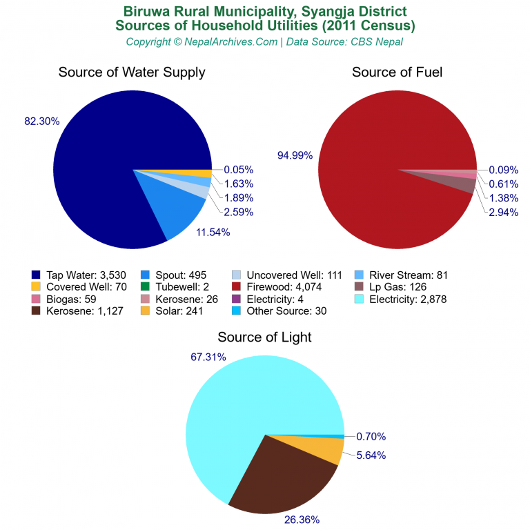 Household Utilities Pie Charts of Biruwa Rural Municipality