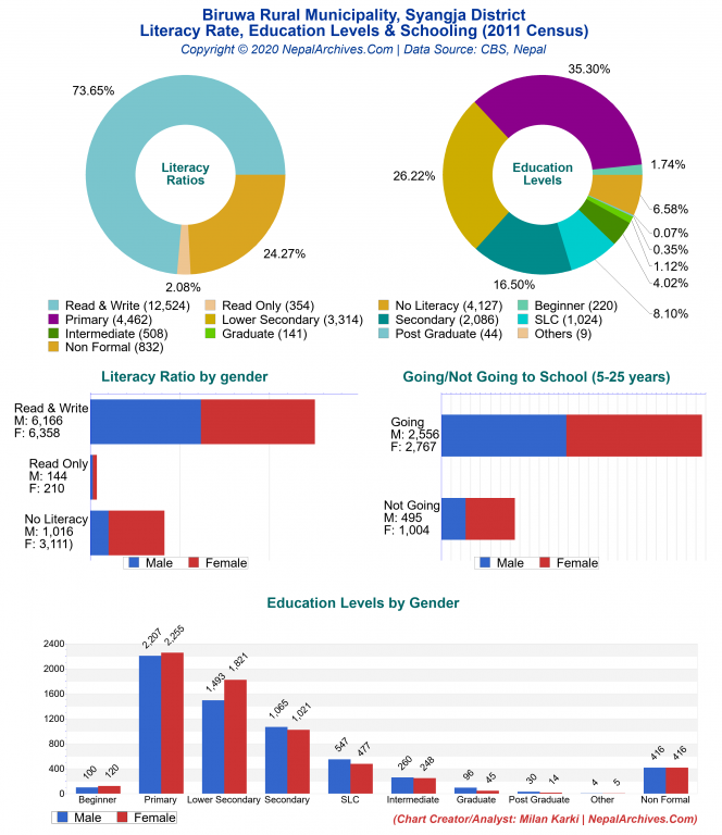 Literacy, Education Levels & Schooling Charts of Biruwa Rural Municipality