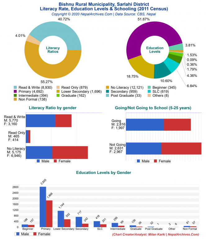 Literacy, Education Levels & Schooling Charts of Bishnu Rural Municipality