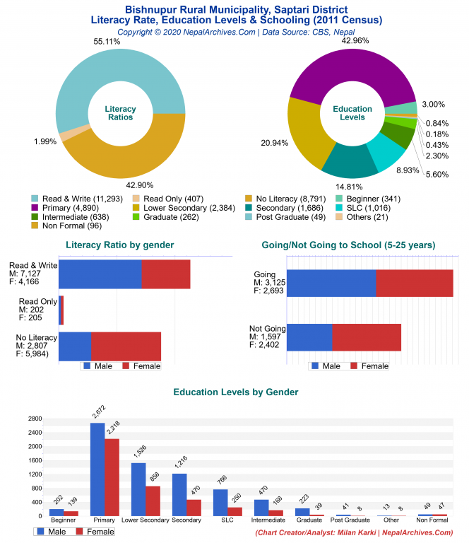 Literacy, Education Levels & Schooling Charts of Bishnupur Rural Municipality