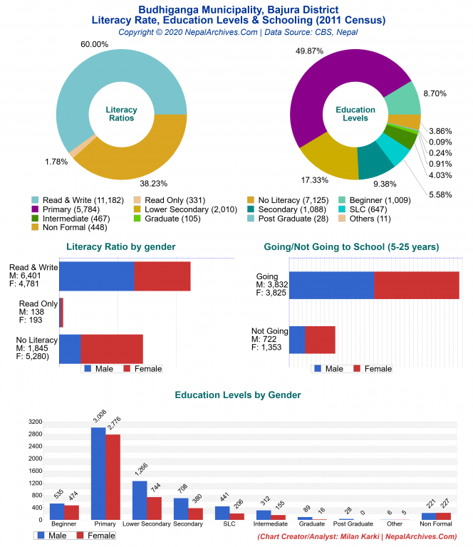 Literacy, Education Levels & Schooling Charts of Budhiganga Municipality