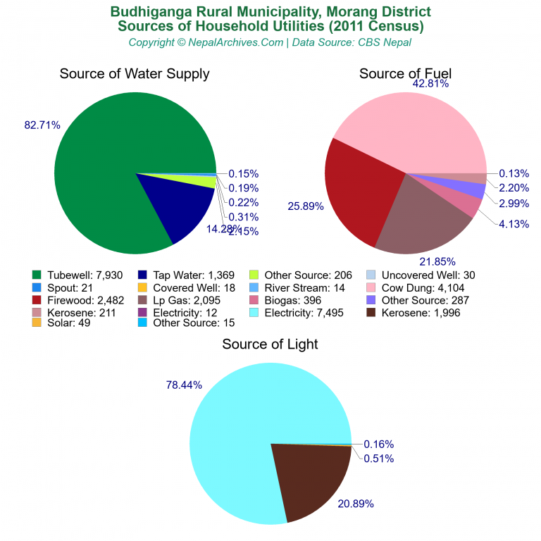 Household Utilities Pie Charts of Budhiganga Rural Municipality