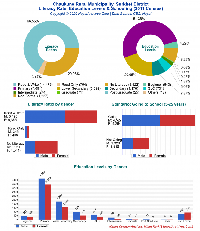 Literacy, Education Levels & Schooling Charts of Chaukune Rural Municipality