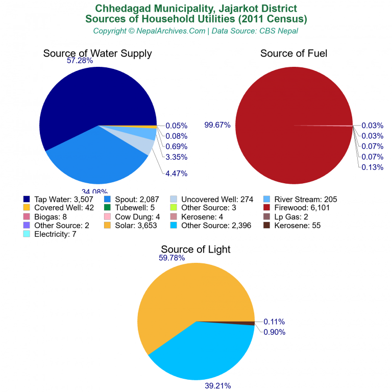 Household Utilities Pie Charts of Chhedagad Municipality