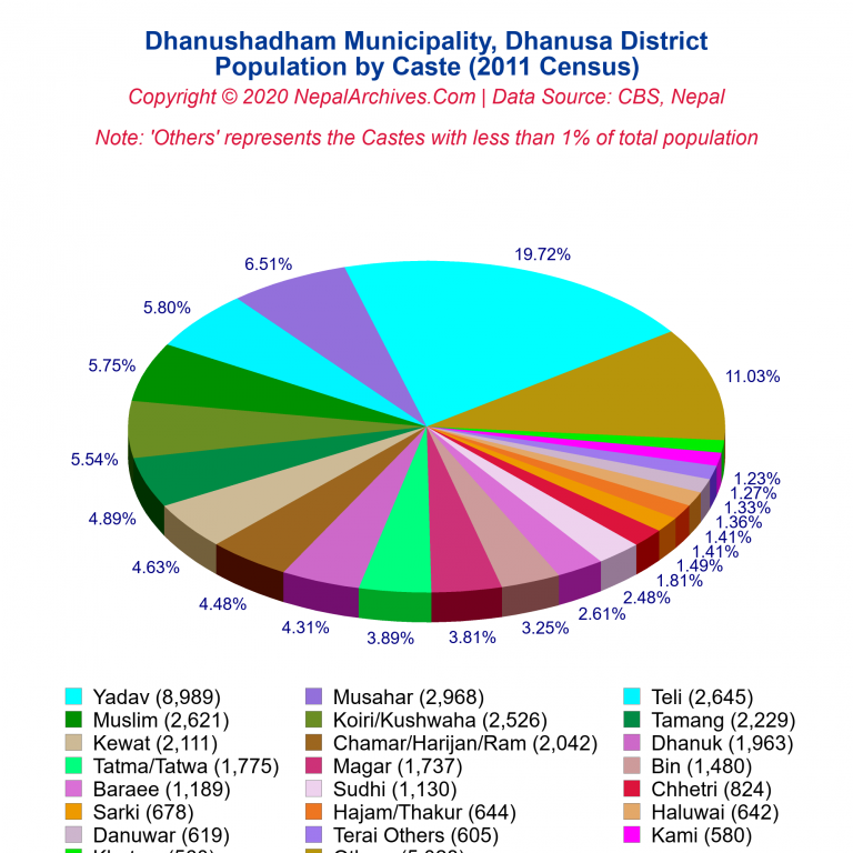 Population by Castes Chart of Dhanushadham Municipality