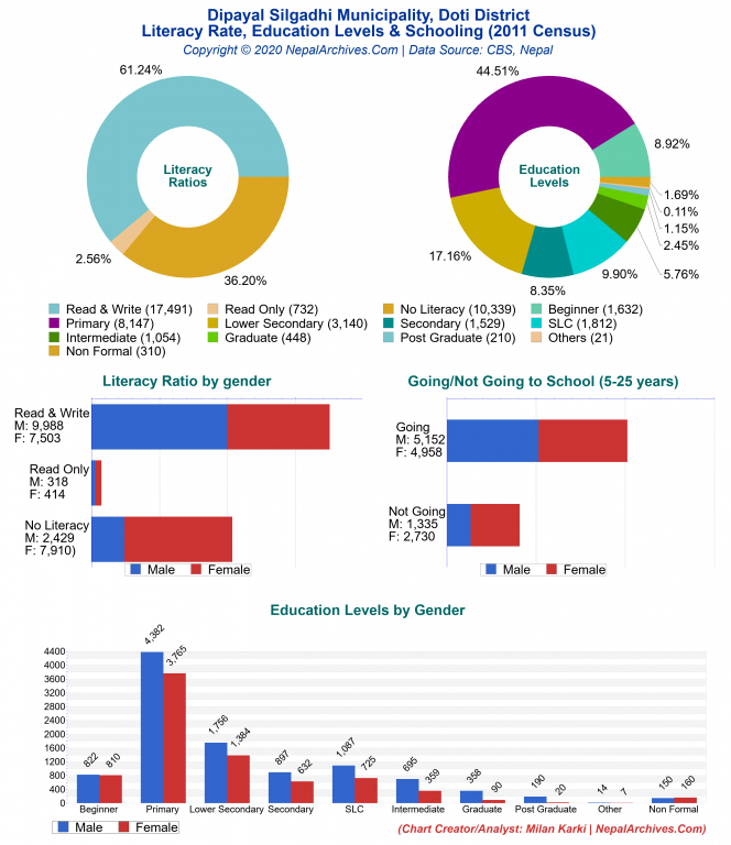 Literacy, Education Levels & Schooling Charts of Dipayal Silgadhi Municipality