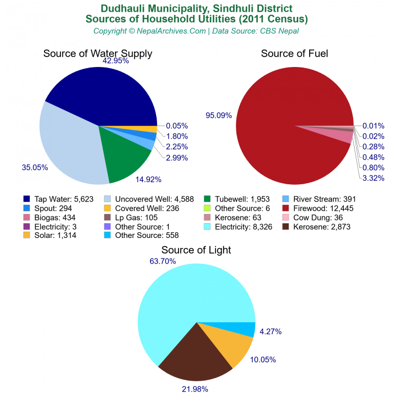 Household Utilities Pie Charts of Dudhauli Municipality