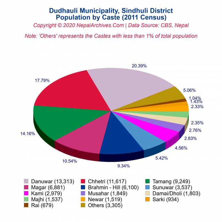 Population by Castes Chart of Dudhauli Municipality