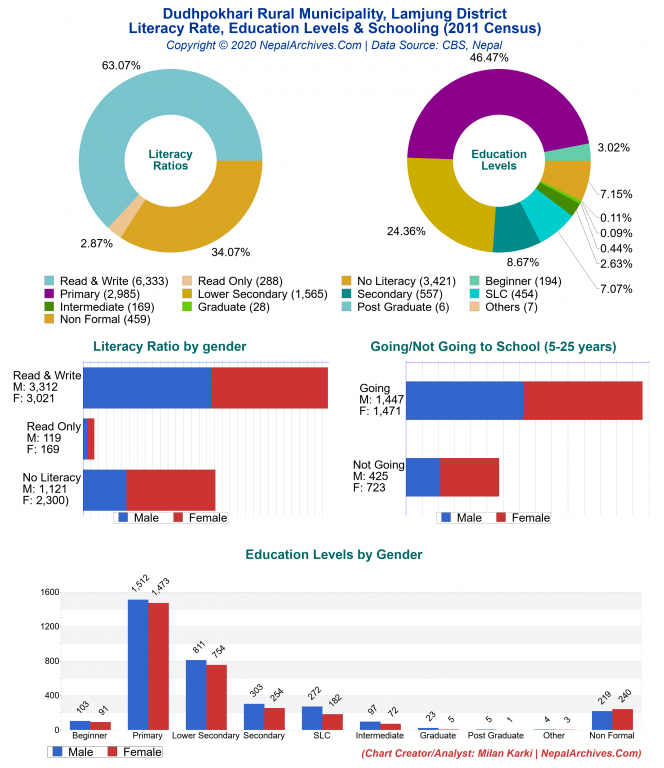 Literacy, Education Levels & Schooling Charts of Dudhpokhari Rural Municipality