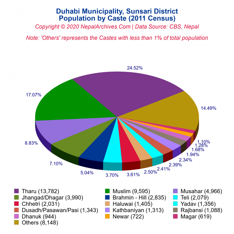 Population by Castes Chart of Duhabi Municipality