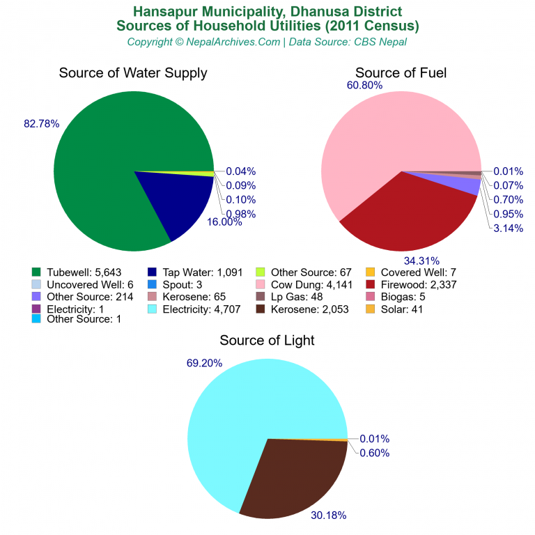 Household Utilities Pie Charts of Hansapur Municipality