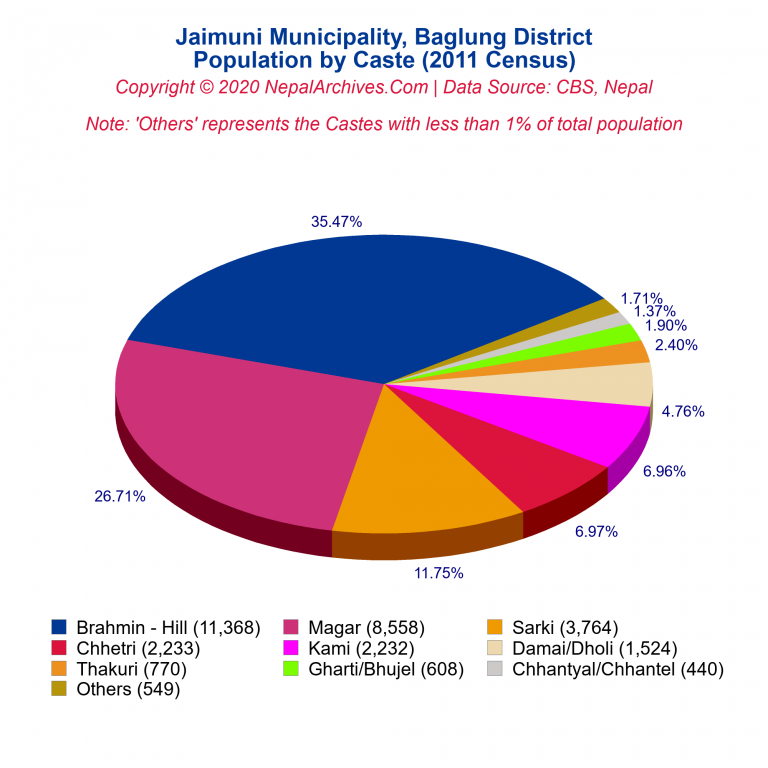 Population by Castes Chart of Jaimuni Municipality