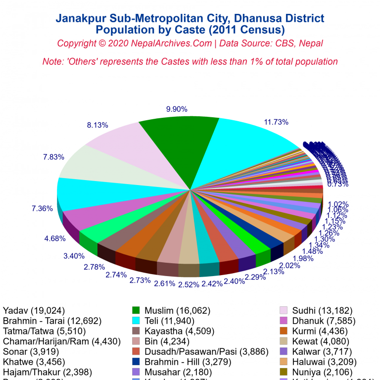 Population by Castes Chart of Janakpur Sub-Metropolitan City