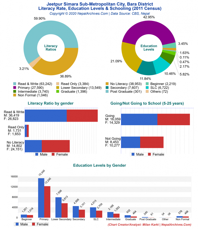 Literacy, Education Levels & Schooling Charts of Jeetpur Simara Sub-Metropolitan City