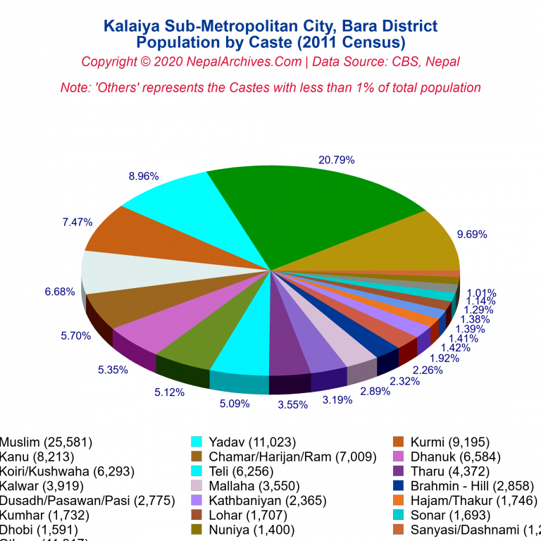 Population by Castes Chart of Kalaiya Sub-Metropolitan City