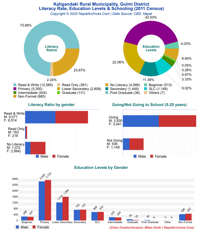 Literacy, Education Levels & Schooling Charts of Kaligandaki Rural Municipality