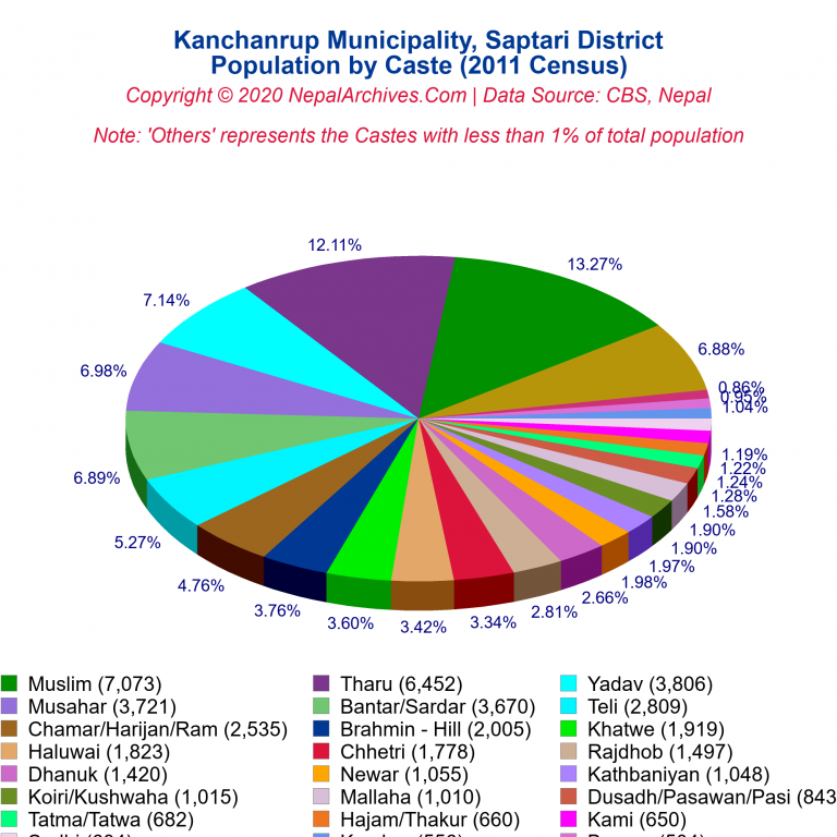 Population by Castes Chart of Kanchanrup Municipality