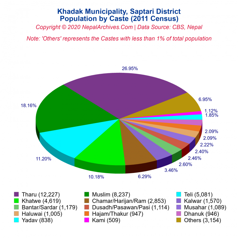 Population by Castes Chart of Khadak Municipality