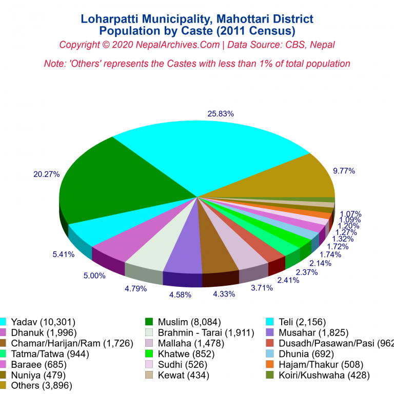 Population by Castes Chart of Loharpatti Municipality