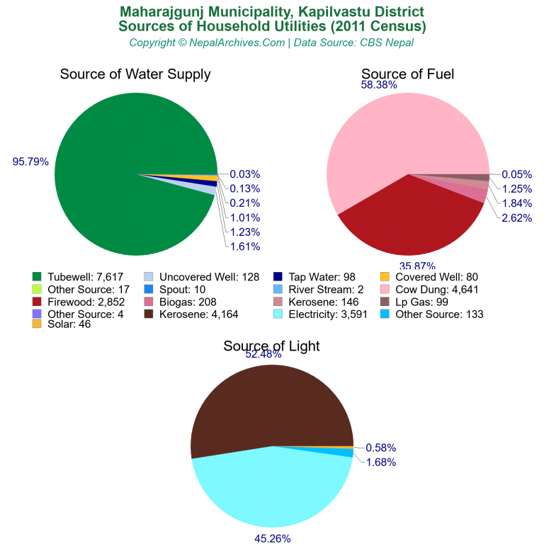 Household Utilities Pie Charts of Maharajgunj Municipality