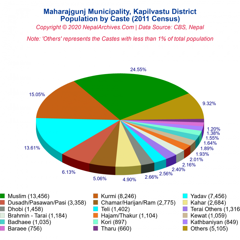 Population by Castes Chart of Maharajgunj Municipality