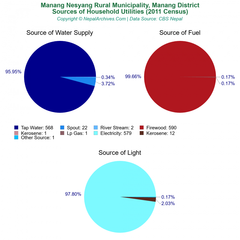 Household Utilities Pie Charts of Manang Nesyang Rural Municipality