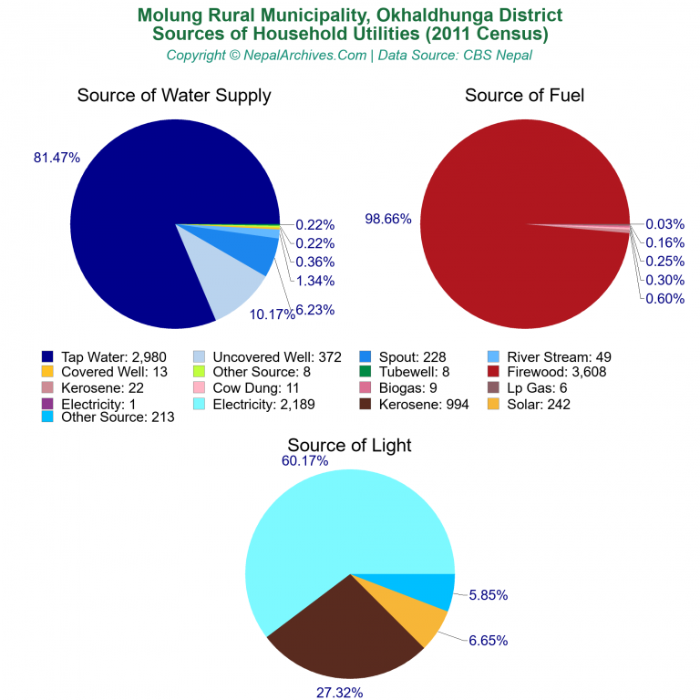 Household Utilities Pie Charts of Molung Rural Municipality