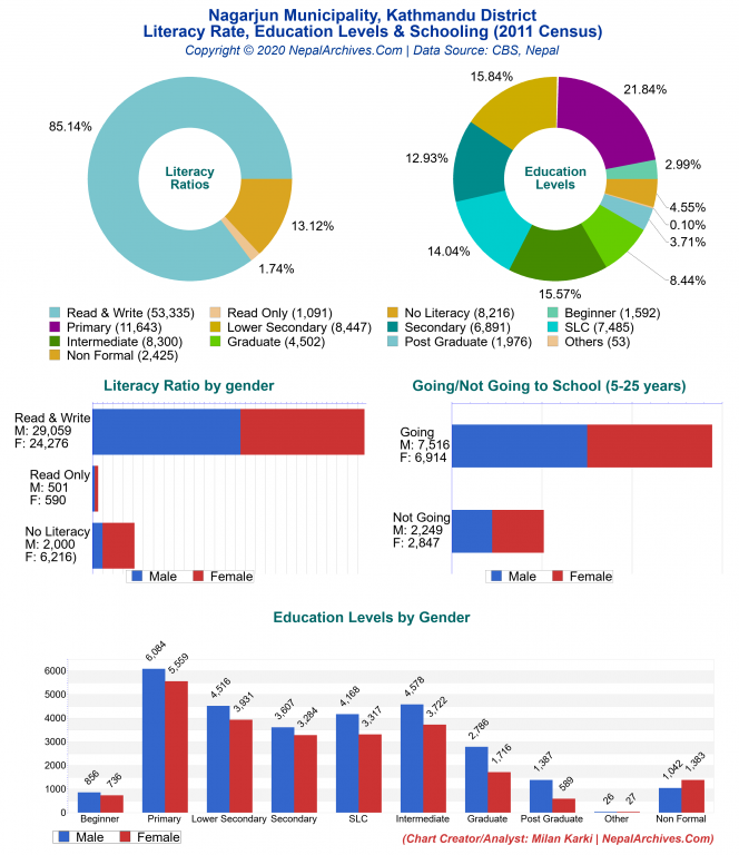 Literacy, Education Levels & Schooling Charts of Nagarjun Municipality