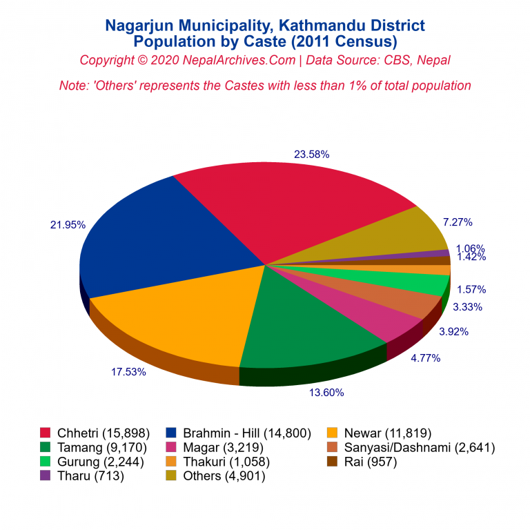 Population by Castes Chart of Nagarjun Municipality