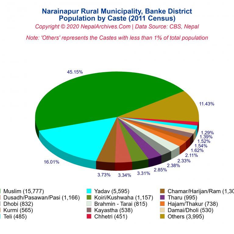 Population by Castes Chart of Narainapur Rural Municipality