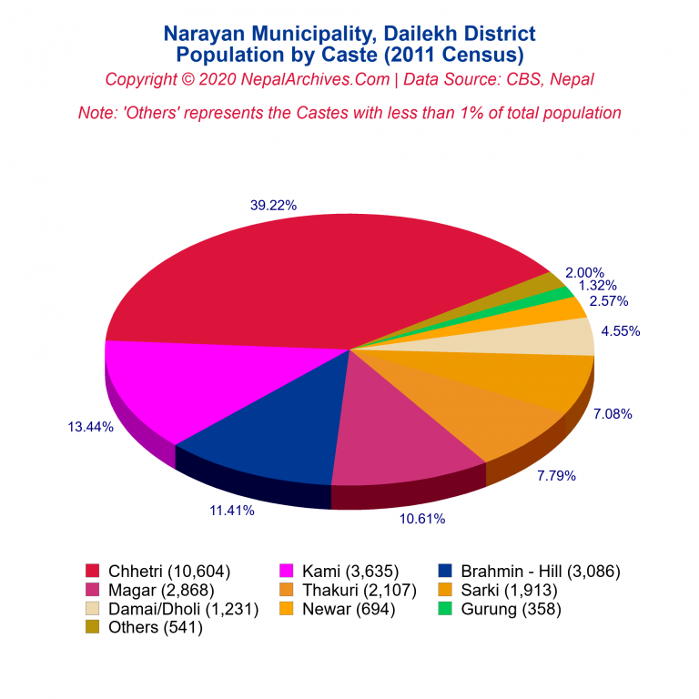Population by Castes Chart of Narayan Municipality