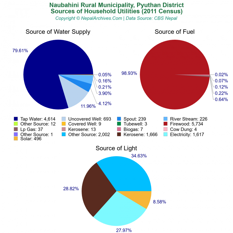 Household Utilities Pie Charts of Naubahini Rural Municipality